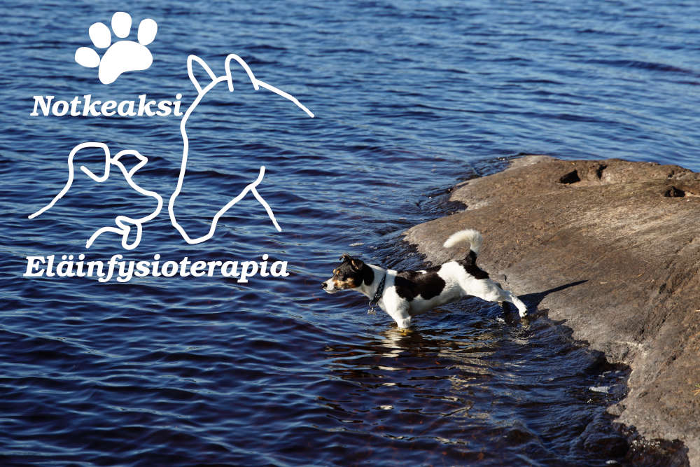 etusivu