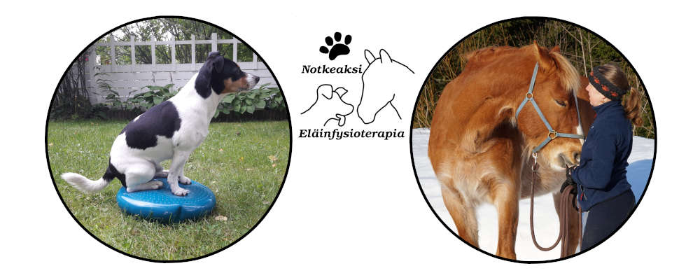 elainfysioterapia