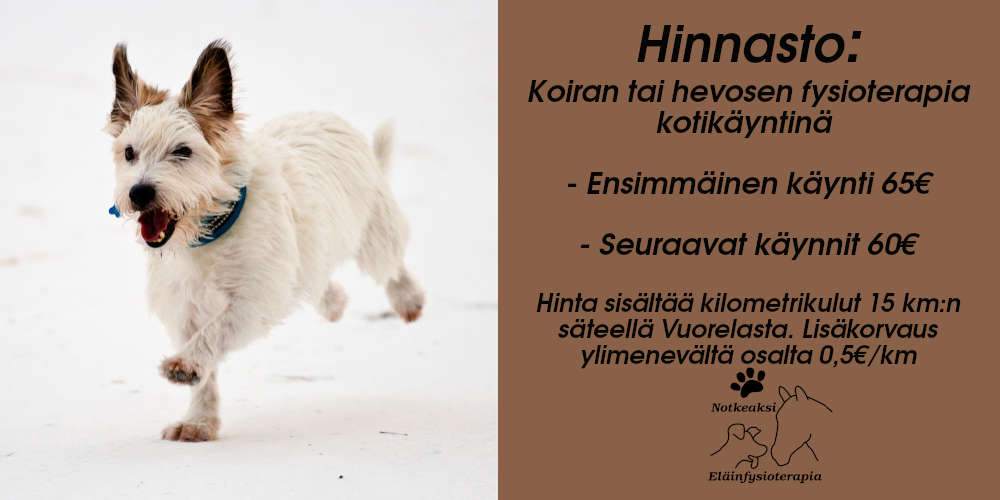 hinnasto